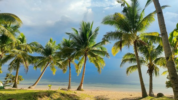 Séjour Puy du Fou : les avantages de l'option en tout inclus