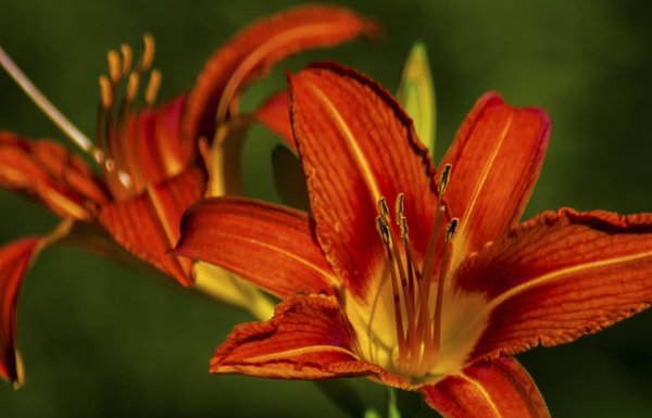 Un endroit vivant et diversifié au cœur de Paris : Café Oz Châtelet