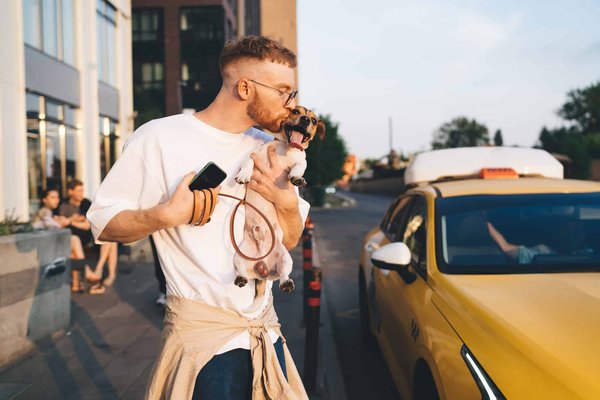 Quels sont les principaux services offerts par les compagnies de taxis à Lille ?