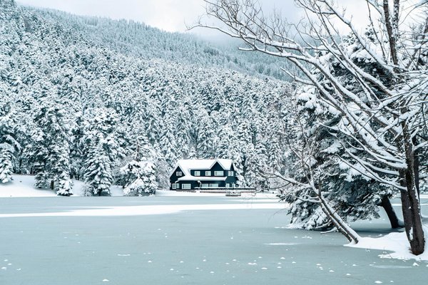 Comment organiser un camping pour une exploration des cavernes de glace?