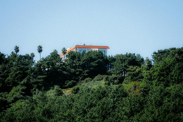 Où peut-on louer une villa en Provence avec des cours de dégustation d'huile d'olive?